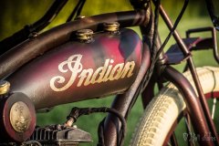 indian12