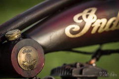 indian16