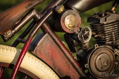 indian17