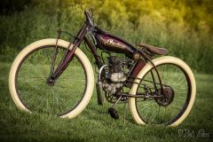 indian2