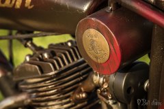 indian7