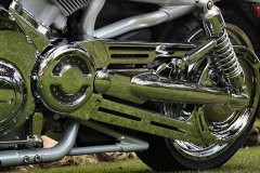 belt-guards