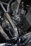 hoses