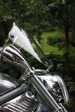 windscreen