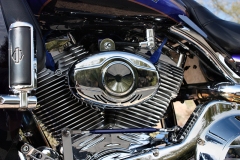 air-horn