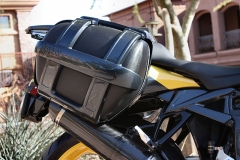 painted-pannier