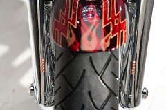 front-fork-protector-2