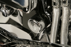 swingarm-bolt-cover