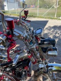 16-2011_Sachs_Madass_D-Henigman