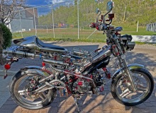 4-2011_Sachs_Madass_D-Henigman